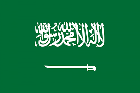 السعودية تدعو مجلس الامن إدراج الحوثيين ضمن قوائم الإرهاب الدولية
