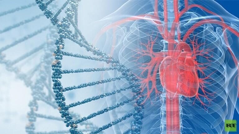إكتشاف طريقة "للوقاية" من النوبات القلبية والجلطات الدماغية