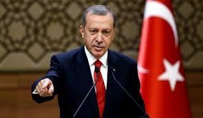 اردوغان : مصر والإمارات تدعمان حفتر بالسلاح ولن نترك السراج وحده في جبهات القتال