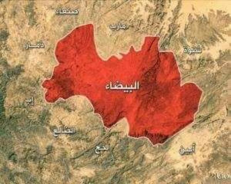 قوات الجيش ورجال القبائل بالبيضاء يشنون هجوما على الحوثيين بجبهة قانية