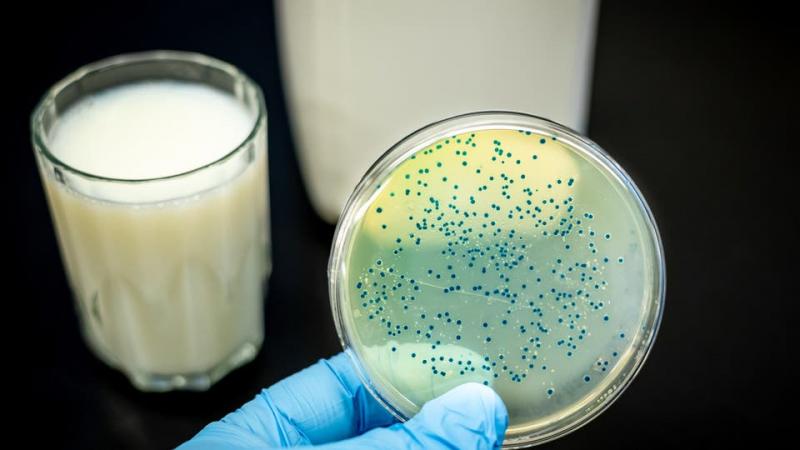 آلاف الإصابات .. بكتيريا جديدة تجتاح الصين وتفزع العالم