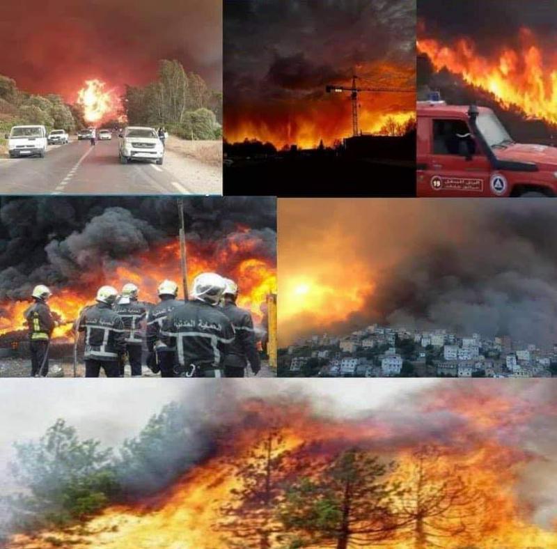 ارتفاع حصلية ضحايا حرائق الغابات في الجزائر إلى 65 ضحية منهم 28 عسكريا