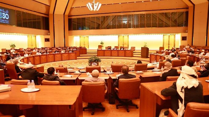 مجلس النواب يعقد لقاء تشاوريا في الرياض