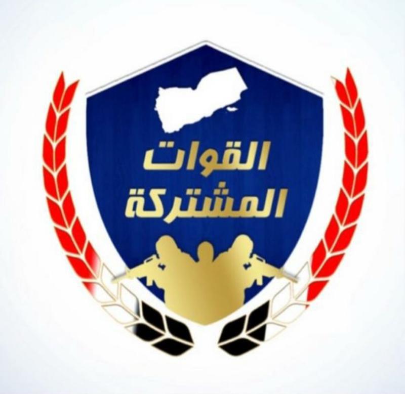 القوات المشتركة في الساحل الغربي تعلن القبض على خلية تابعة للحوثيين
