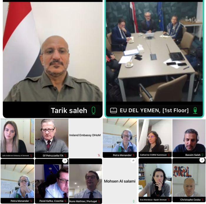 أبرز ما دار بين العميد طارق صالح والسفراء الأوروبيين بشأن الحوثيين وأزمة البحر الأحمر